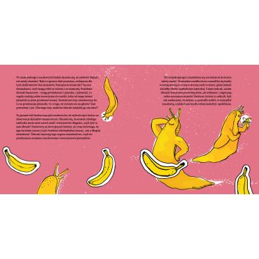 Amory, zaloty i podboje – środek, ślimak