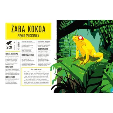 Superzwierzaki – środek, żaba