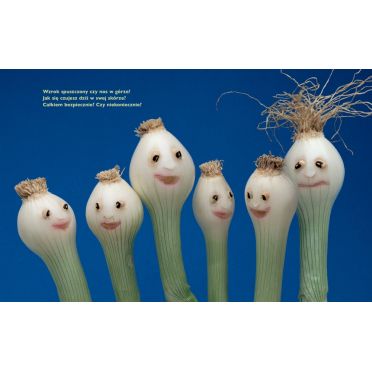 Owocoemocje - środek książki