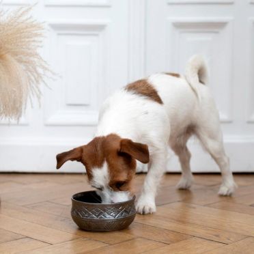 miska ceramiczna słowiańska