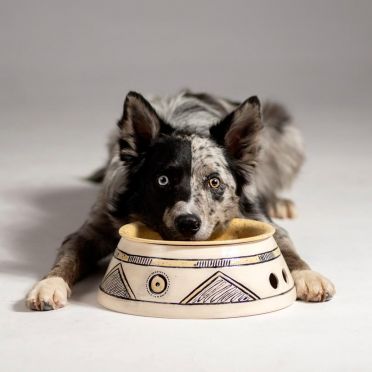 miska ceramiczna dla psa