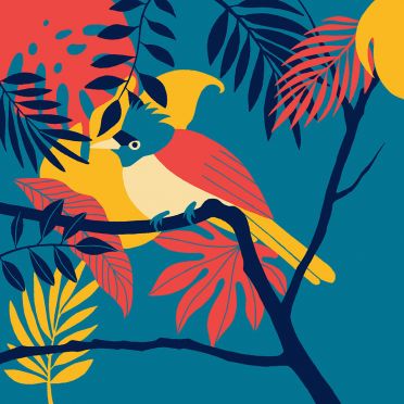 Poduszka - Terpsiphone paradisi