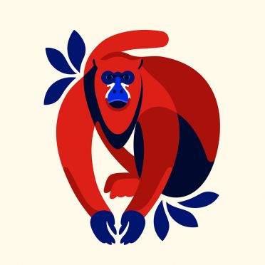 Poduszka - Howler monkey