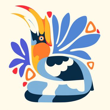 Poduszka - Dzioborożec