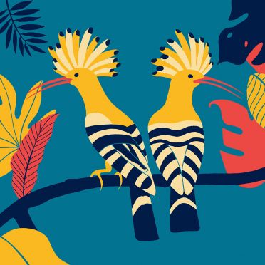 Poduszka - Euroasian hoopoe