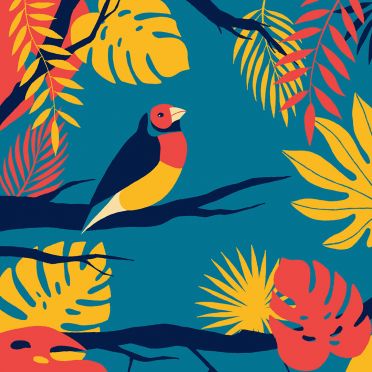 Poduszka - Gouldian finch