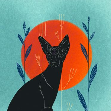 Poduszka - Sphynx cat