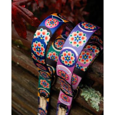 obroża półzaciskowa zielona Dłonie Mokosz